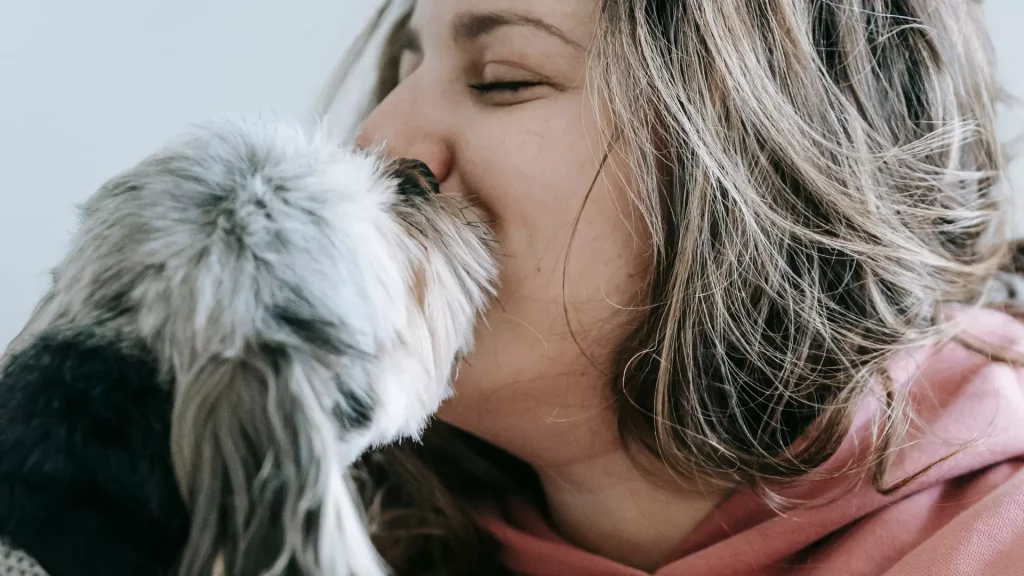 Jak poznać że Twój pies Cię kocha