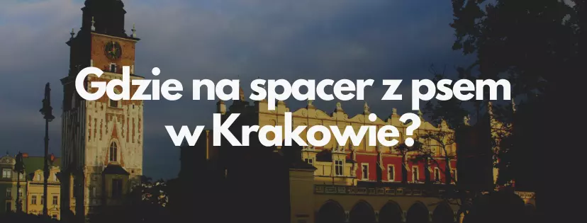 Gdzie na spacer z psem w Krakowie?