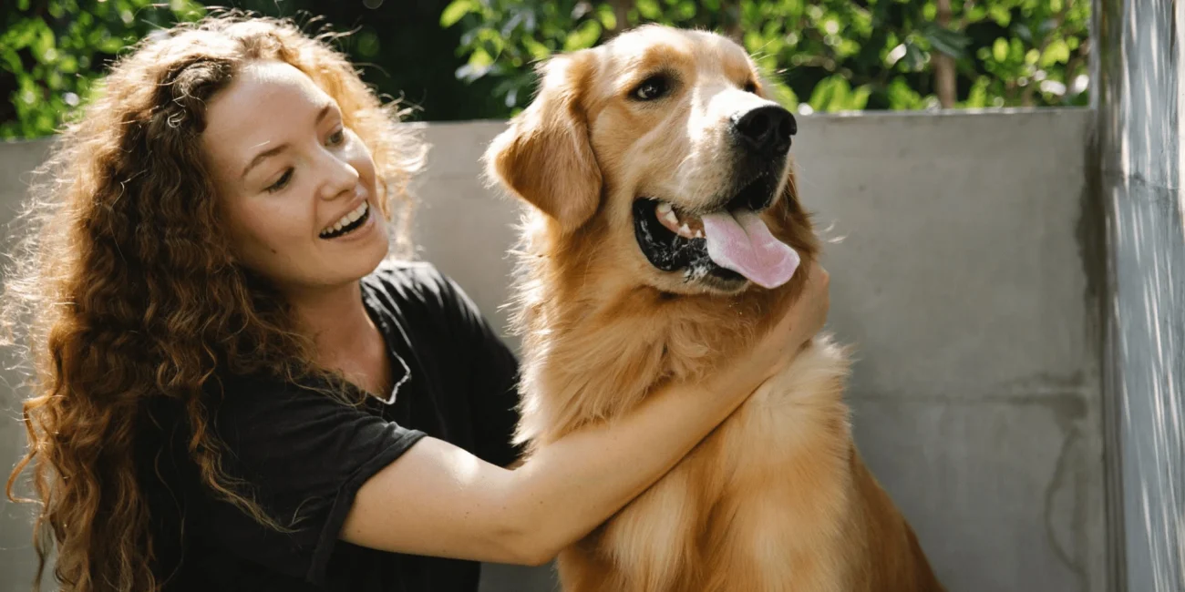 Co je Golden Retriever