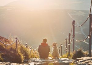 Pies i człowiek w górach zachód słońca